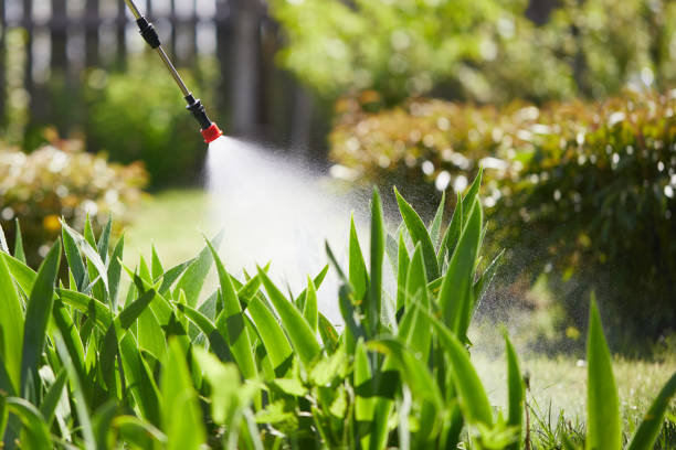24/7 Emergency Mosquito Control experts in Gaston, SC